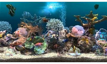 Marine Aquarium 3.2 for Android - Download the APK from Habererciyes